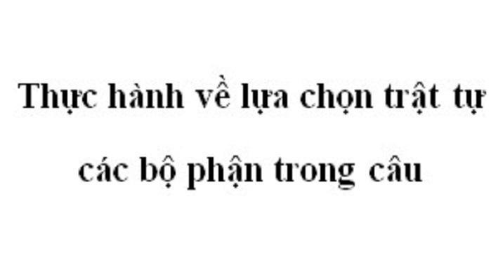 Top 6 Bài soạn Thực hành trật tự câu (Ngữ Văn 11) ấn tượng nhất