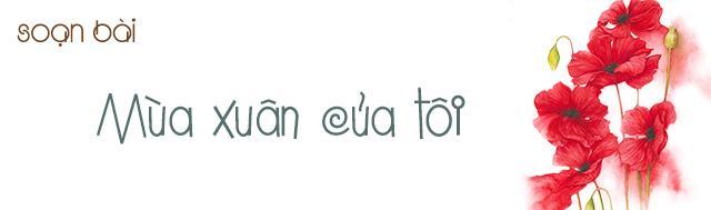 6 Bài phân tích ấn tượng nhất tác phẩm 'Mùa xuân của tôi' - Vũ Bằng (Ngữ văn lớp 7)