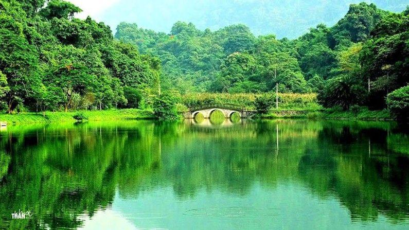 Top 20 bài thơ tuyệt hay nhất viết về mảnh đất quê hương Ninh Bình