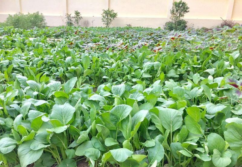 Top 11 bài thơ xuất sắc của nhà thơ Trịnh Thanh Hằng