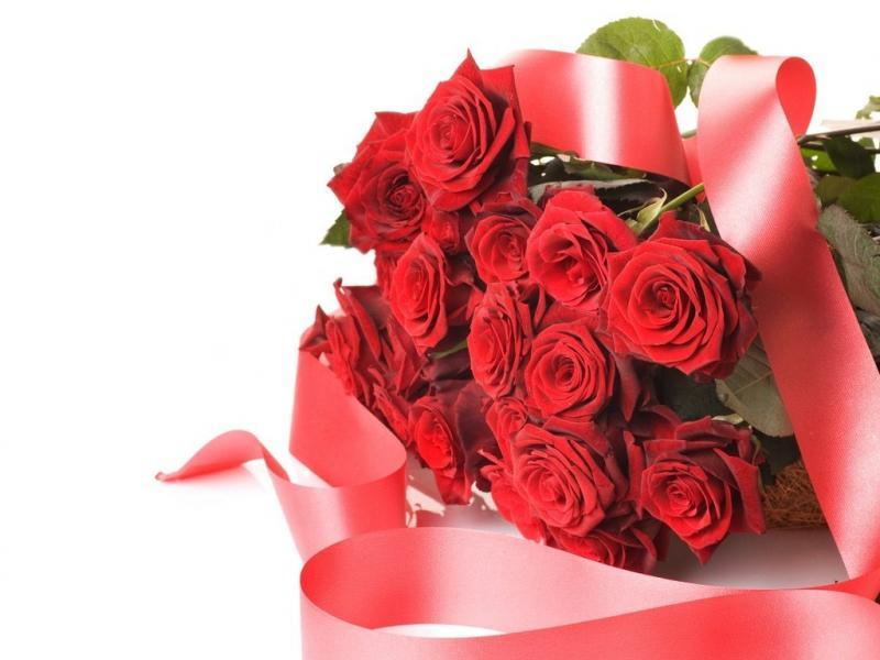 15 Áng thơ tri ân thầy cô nhân ngày 20/11 - Tuyển tập xúc động và ý nghĩa nhất