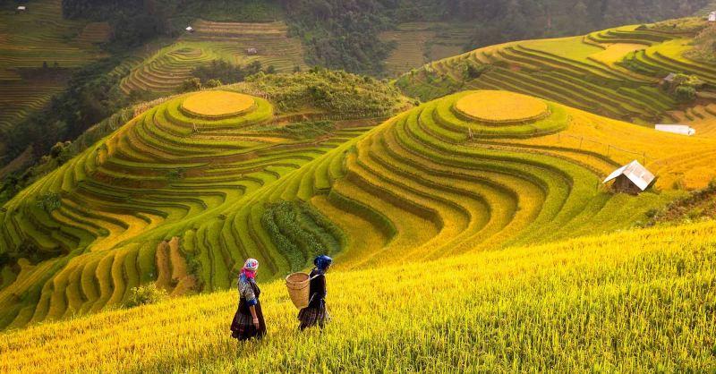 15 Áng thơ ý nghĩa tri ân người cao tuổi nhân ngày Quốc tế Người cao tuổi 1/10