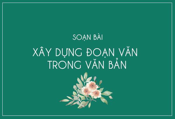 5 Bài soạn mẫu xuất sắc nhất về "Xây dựng đoạn văn trong văn bản"
