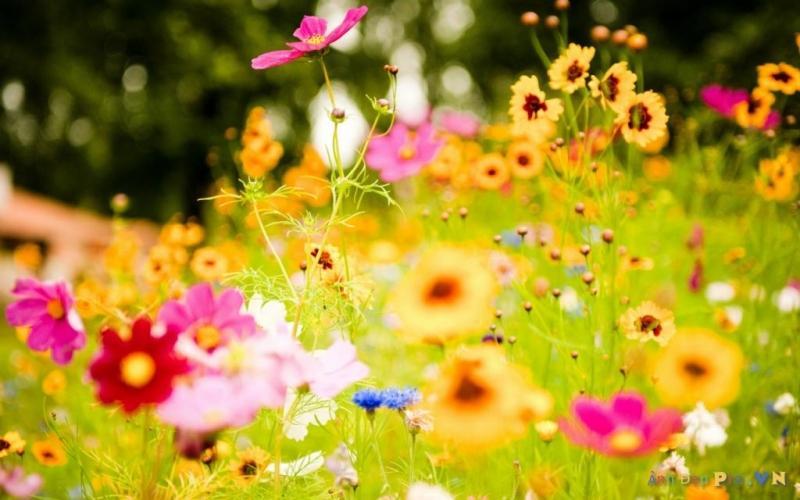11 Lời vàng thức tỉnh giúp tâm hồn thăng hoa