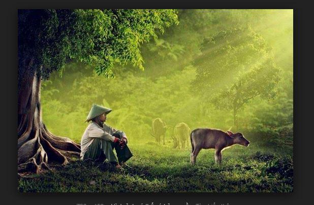 20 Áng thơ tinh tuyển của thi sĩ Tự Hàn