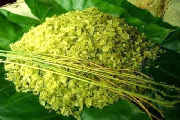 Top 10 Cảm nhận sâu sắc về tản văn 'Một thứ quà của lúa non' - Kiệt tác văn chương Thạch Lam