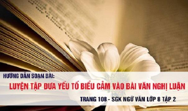 Top 6 Bài soạn "Luyện tập: Đưa yếu tố biểu cảm vào bài văn nghị luận" lớp 8 xuất sắc nhất