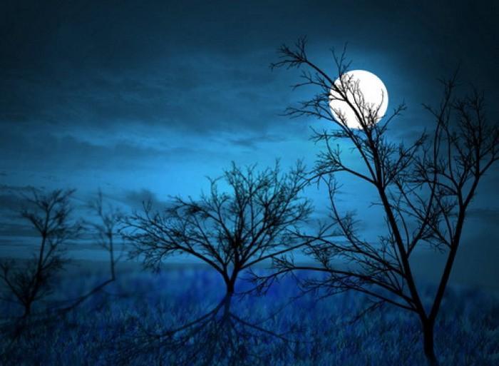 8 Bài phân tích hay nhất về ý nghĩa nhan đề bài thơ "Ánh trăng" của Nguyễn Duy