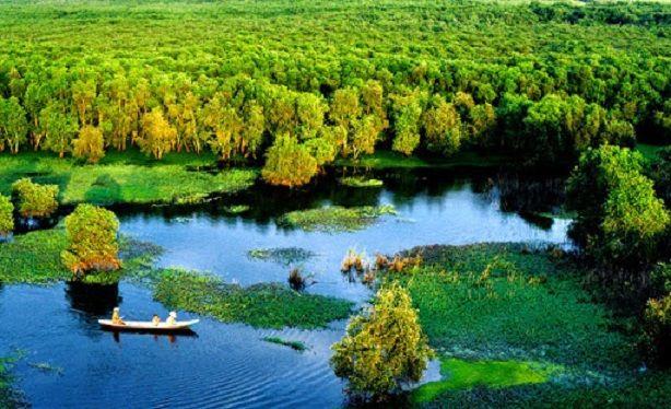 7 bản tóm tắt ấn tượng nhất tác phẩm 'Sông nước Cà Mau' của nhà văn Đoàn Giỏi