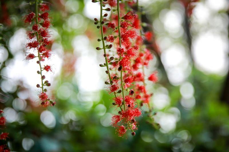20 bài thơ tinh tuyển của nữ thi sĩ Lan Vương