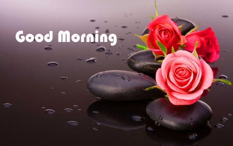 Top 15 lời chúc buổi sáng ngọt ngào và lãng mạn dành tặng người thương