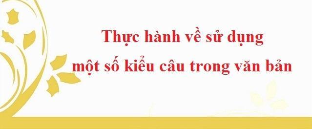 Top 5 Bài soạn Thực hành về sử dụng kiểu câu trong văn bản (Ngữ Văn 11) ấn tượng nhất