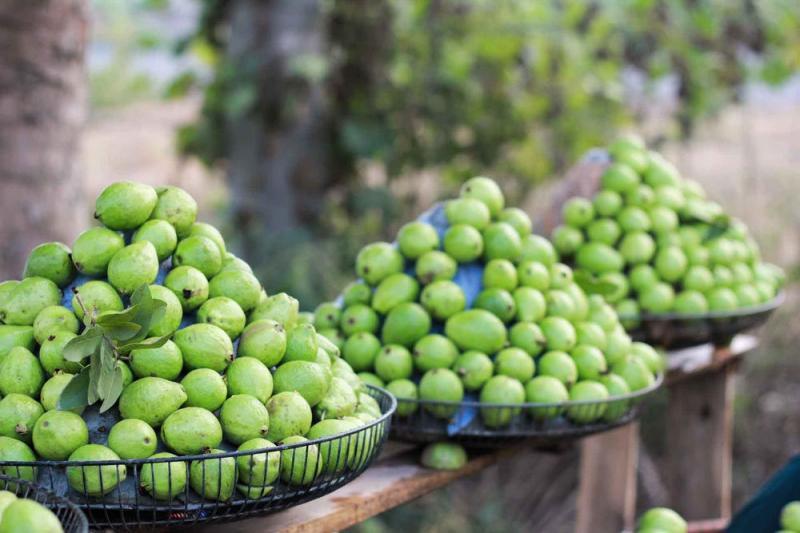 Top 5 Cảm nhận xuất sắc nhất về khoảnh khắc giao mùa trong thi phẩm 'Sang thu' của Hữu Thỉnh