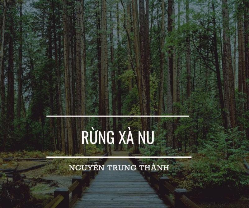Tuyển tập 6 bài phân tích "Rừng xà nu" - Nguyễn Trung Thành đặc sắc nhất dành cho học sinh lớp 12