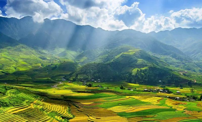 7 bài phân tích sâu sắc nhất về thi phẩm 'Bầm ơi' của nhà thơ Tố Hữu