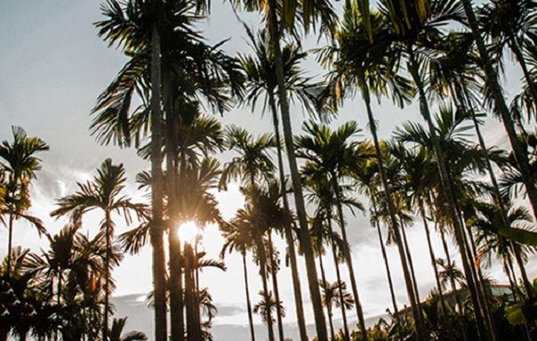 15 bài phân tích xuất sắc nhất về bức tranh thiên nhiên trong kiệt tác 'Đây thôn Vĩ Dạ' của Hàn Mặc Tử dành cho học sinh lớp 11