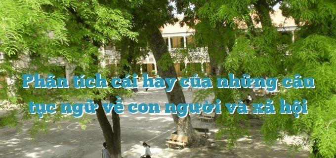 Top 5 bài phân tích sâu sắc nhất về tục ngữ Việt Nam bàn luận về con người và xã hội dành cho học sinh lớp 7