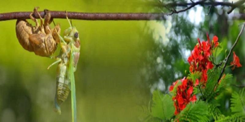 20 Áng thơ xúc động nhất về mùa thi đong đầy kỷ niệm