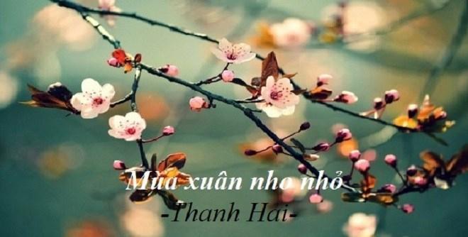 Tuyển chọn 6 bài phân tích "Mùa xuân nho nhỏ" của Thanh Hải hay nhất dành cho học sinh lớp 9