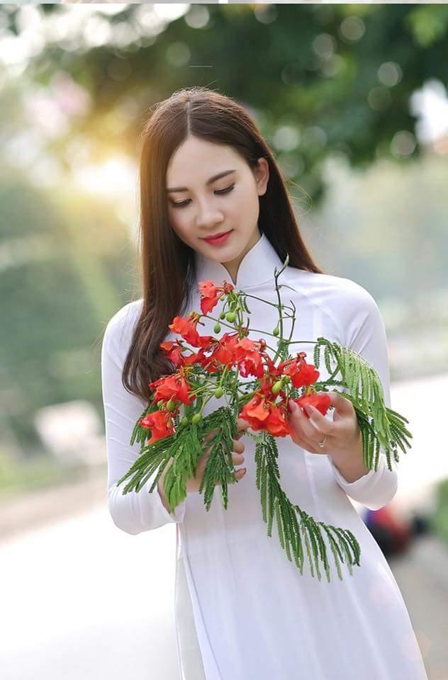 20 Áng thơ đón hè say đắm lòng người