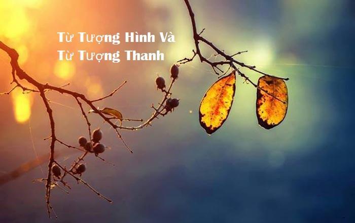 Top 5 Bài soạn "Từ tượng hình, từ tượng thanh" tinh tuyển nhất