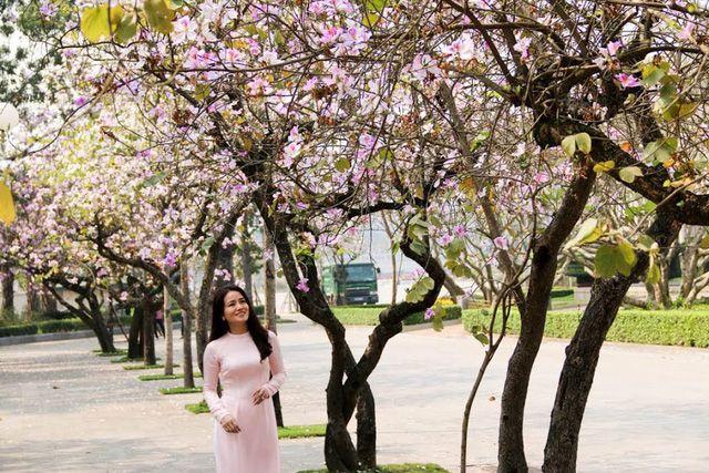 Tuyển tập 15 bài thơ đặc sắc nhất của thi sĩ Ngô Quang Tuấn
