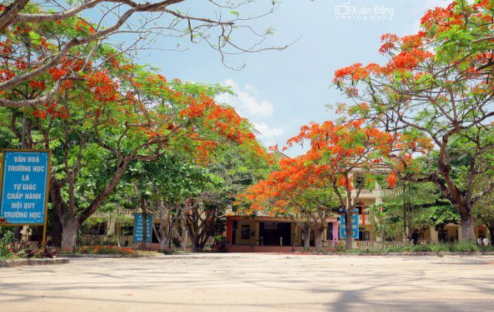 10 bài văn mẫu tả ngôi trường mùa hè sinh động nhất dành cho học sinh lớp 5