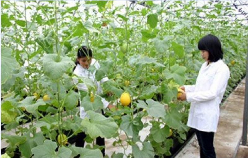 Tuyển tập 18 bài thơ đặc sắc của thi sĩ Đinh Thị Hiển