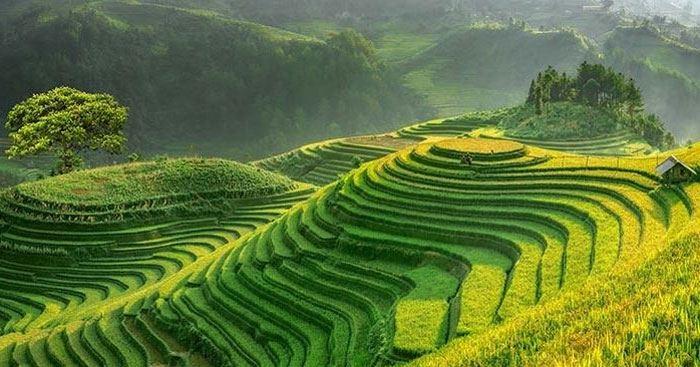 6 Bài phân tích xuất sắc nhất về tác phẩm "Việt Bắc" - Tố Hữu (Ngữ văn 12) - Phần 2
