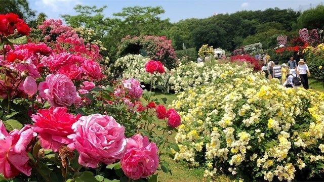 Top 5 điểm đến lý tưởng cuối tuần dành cho gia đình trong bán kính 10km từ Times City