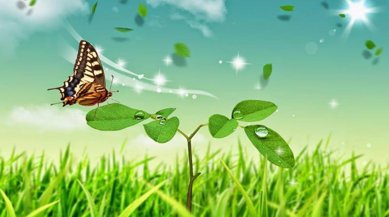 10 bài phân tích xuất sắc nhất về cái tôi trữ tình trong 'Vội vàng' của Xuân Diệu (dành cho học sinh lớp 11)