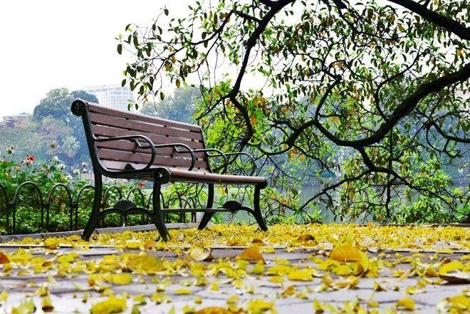 8 Giai Điệu Thu Hà Nội Đắm Say Lòng Người - Những Khúc Tình Ca Bất Hủ