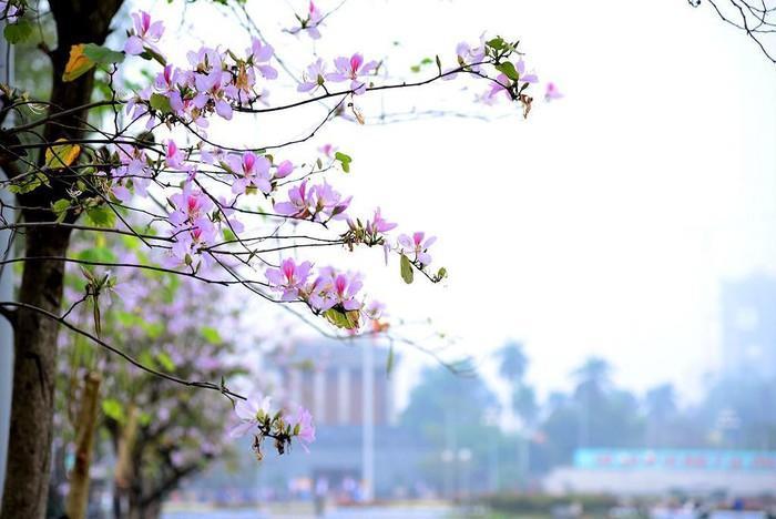 16 Áng thơ lấp lánh gửi gắm những ước mơ