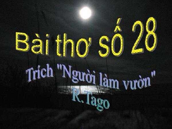 10 Áng văn phân tích xuất sắc nhất về kiệt tác "Bài thơ số 28" của đại thi hào Tagore