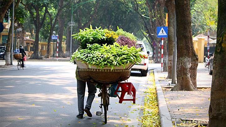 Tuyển tập 20 bài thơ đặc sắc nhất về tháng 7 - Tháng của nỗi nhớ và hoài niệm