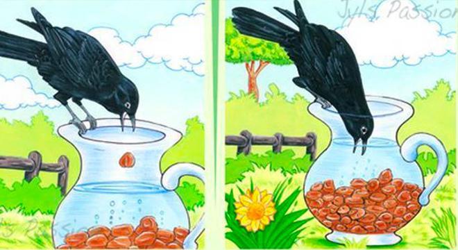 Top 10 truyện ngụ ngôn loài vật ý nghĩa nhất
