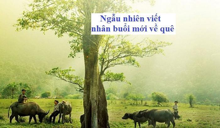 10 góc nhìn đặc sắc phân tích thi phẩm 'Ngẫu nhiên viết nhân buổi mới về quê' - Hạ Tri Chương