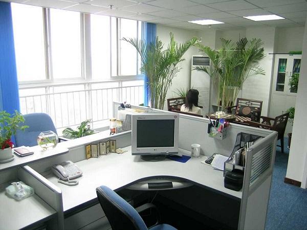 10 Bí Quyết Vàng Đánh Tan Buồn Ngủ Giúp Bạn Làm Việc Hiệu Quả