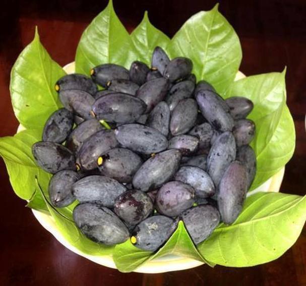 10 Món ngon đặc sắc chế biến từ trám - Bí quyết ẩm thực truyền thống