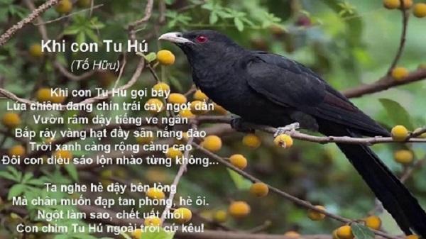 Top 10 Phân tích xuất sắc nhất bài thơ 'Khi con tu hú' - Kiệt tác thơ ca cách mạng của Tố Hữu