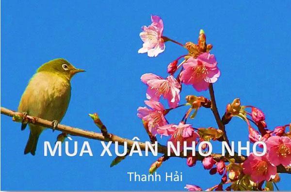 15 bài phân tích xuất sắc nhất về 'Mùa xuân nho nhỏ' - Kiệt tác thi ca của Thanh Hải
