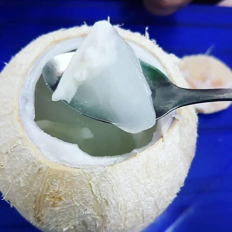 9 Địa chỉ thạch dừa đáng thử nhất Hà Thành - Mê đắm vị ngọt thanh