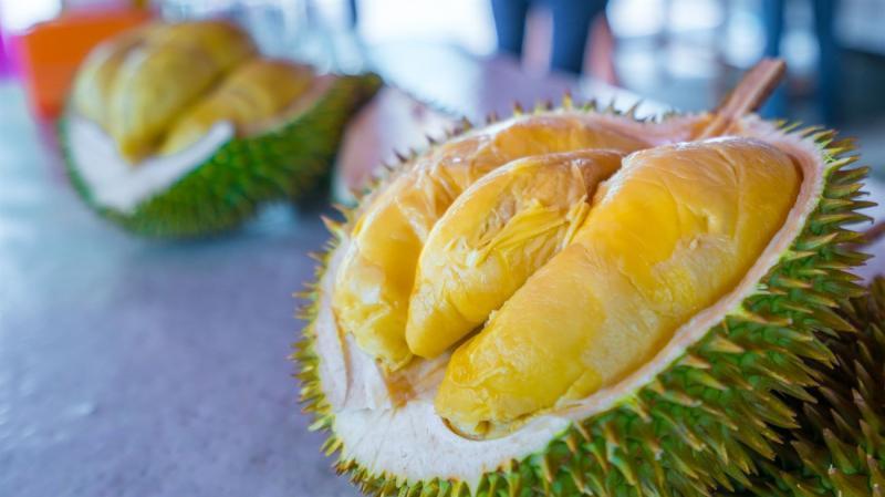 Top 5 địa chỉ vàng cung cấp sầu riêng tươi ngon, đảm bảo chất lượng tại Quảng Ngãi