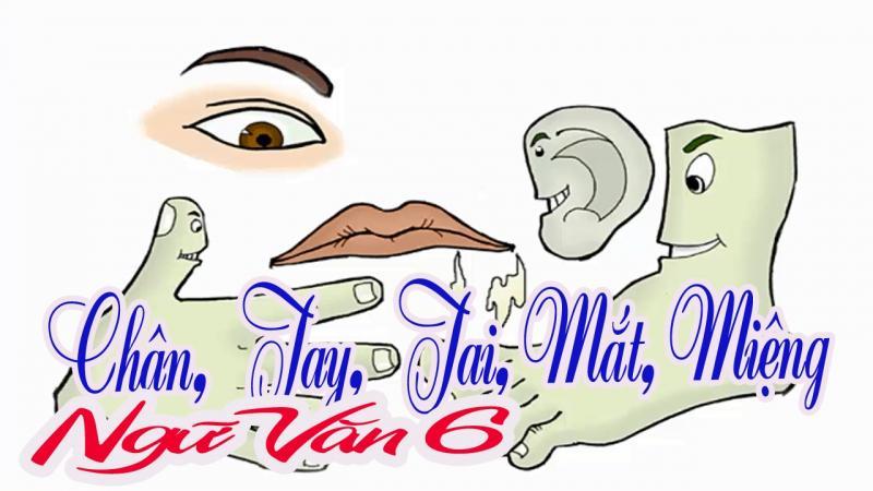 10 Bài phân tích ấn tượng nhất về truyện ngụ ngôn 'Chân, Tay, Tai, Mắt, Miệng'