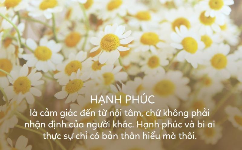 14 Áng văn nghị luận đặc sắc nhất về hạnh phúc - Khám phá ý nghĩa cuộc sống