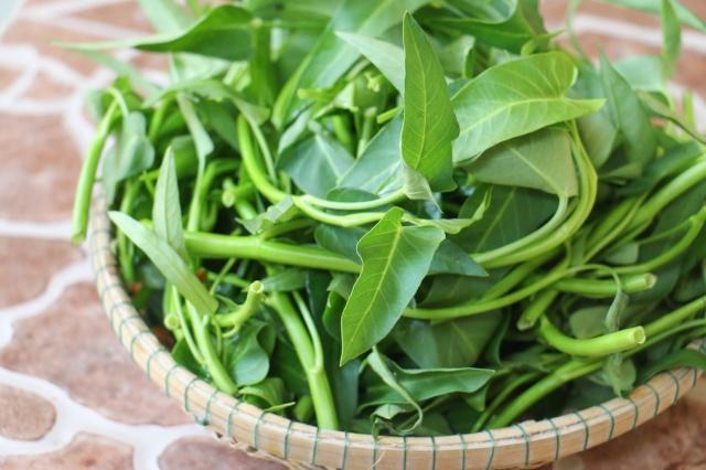 10 công thức nộm rau muống đơn giản, hấp dẫn dễ làm tại nhà