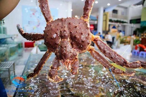 6 Địa chỉ đáng tin cậy nhất để thưởng thức cua Hoàng Đế tại Thanh Hóa