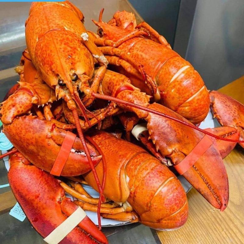 7 địa chỉ đáng tin cậy nhất Hà Nội để thưởng thức tôm hùm Alaska đúng chuẩn