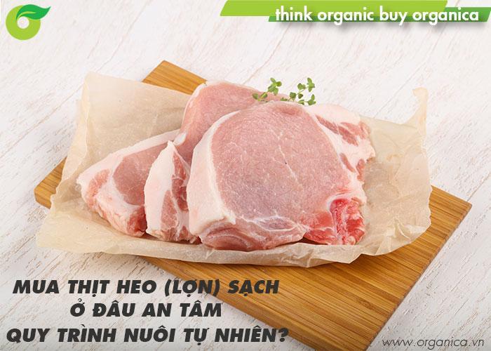 10 địa chỉ uy tín cung cấp thịt heo sạch tại TP.HCM - An toàn, chất lượng vượt trội