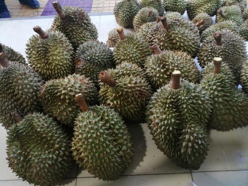 Top 5 Địa điểm bán trái cây tươi ngon, đảm bảo chất lượng tại Ninh Thuận
